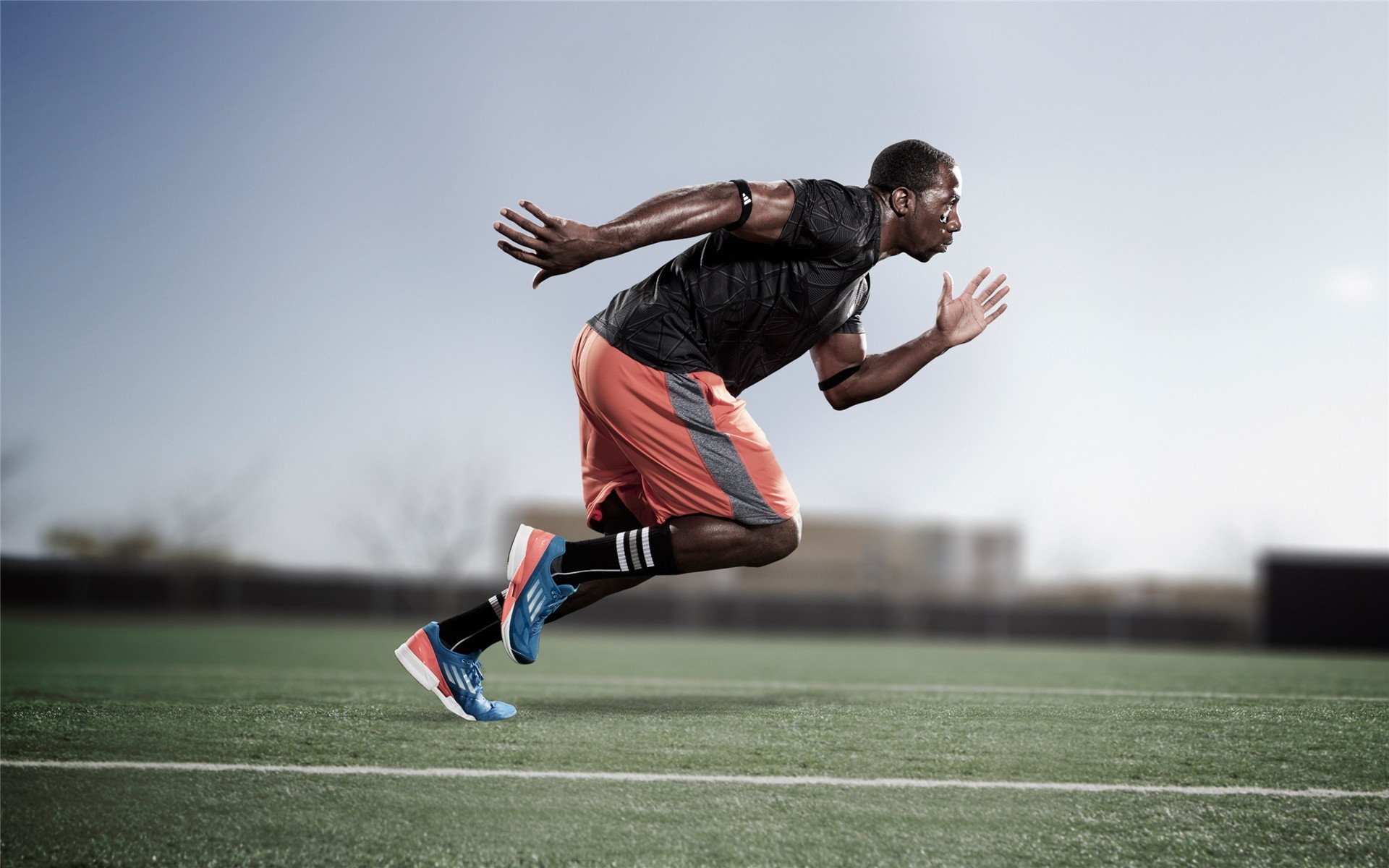 女子排球助教团队新成员具备国际执教经验，女子排球队队员